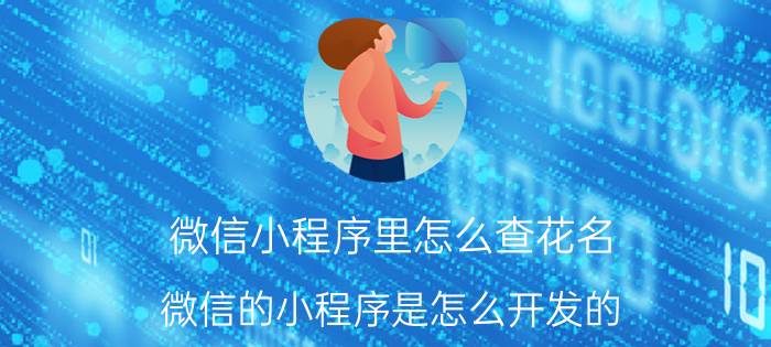 微信小程序里怎么查花名 微信的小程序是怎么开发的？